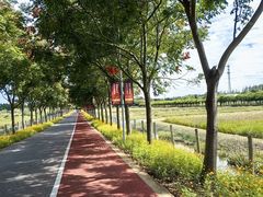 -上海长兴岛郊野公园