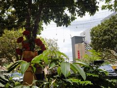 -东江海鲜大排档·潮汕菜·砂锅粥