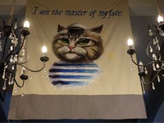 -猫咪博物馆(顶澳仔猫街店)