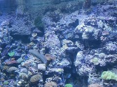 -江和美海洋公园