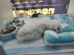 -万达广场(太原街店)