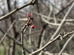 -宜兴龙背山森林公园