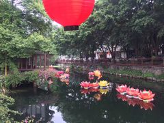 -侨美唐荔园·宴会厅(唐荔园食艺馆店)