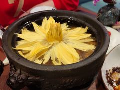 出水芙蓉-映水芙蓉(长宁来福士店)
