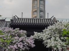 -北京奥林匹克公园
