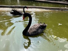 -海南热带野生动植物园
