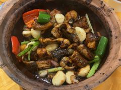 -天宝食坊·啫啫煲大排档(西华路店)