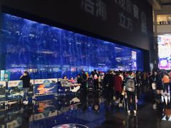 -成都浩海立方海洋公园