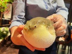 -肆月河豚·淮扬菜·湘菜(华天店)