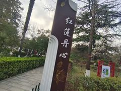 -莲湖公园
