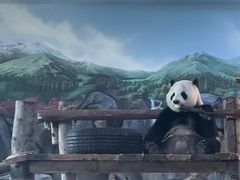 -武汉动物园