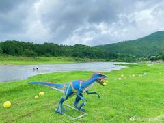-仙水洋