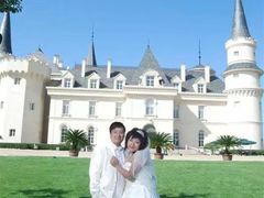 -北京张裕爱斐堡酒庄