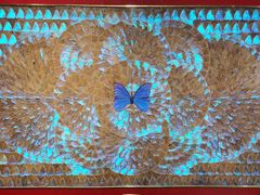 -上海昆虫博物馆