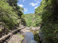 -云岫谷游猎自然风景区