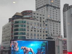 -稻香饭店(IFS国金中心店)