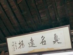 -茅老太臭豆腐