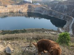 -黄埔油麻山森林公园