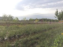 -完美新娘婚纱摄影