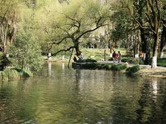 -柳浪闻莺公园