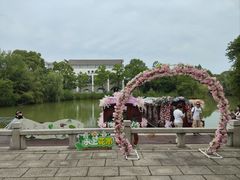 -苏州太湖国家湿地公园