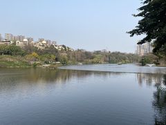 -重庆彩云湖湿地公园