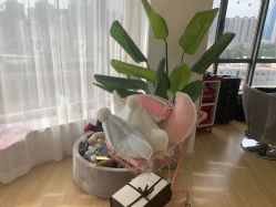 -E.L.K造型momopark店