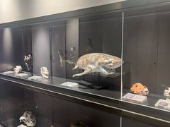 -常熟玉蕙口腔医院