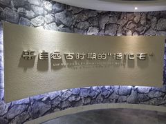 -中国扬子鳄村