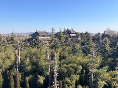 -洛阳白马寺