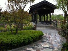 -南汇桃花村