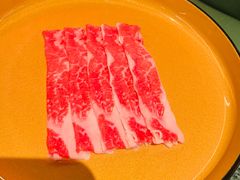 -牛New寿喜烧(金鹰世界店)