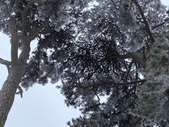 -妙峰山风景名胜区