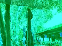 -园林美食城·本土农家菜(杨和镇店)