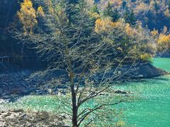 -叠溪松坪沟景区