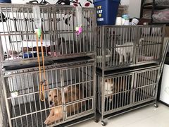 -美美酱宠物(外运路小区店)