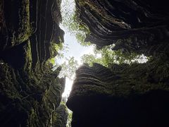 -梭布垭石林景区