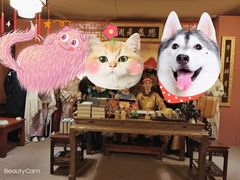 -MAX伯爵沉浸式超级游戏体验馆·实景桌游·剧本杀(小时代店)