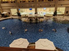 -盘锦红海温泉乐园