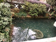 -韬光茶庵
