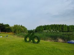 -贡湖湾湿地公园