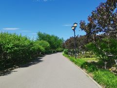 -永定河休闲森林公园