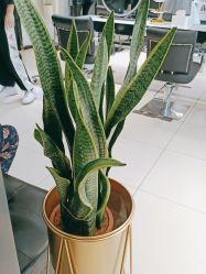 -LJOY丽锦造型·烫发染发