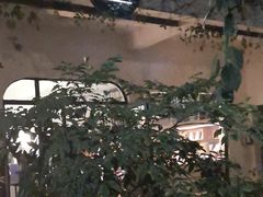 -彳亍咖啡·这里(水湾路店)