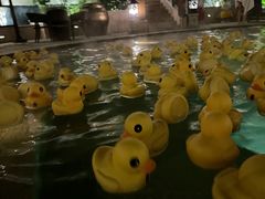 -苏州湾·王焰温泉