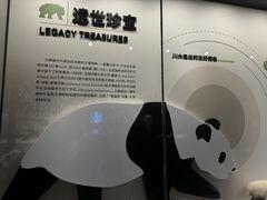 -四川大学博物馆