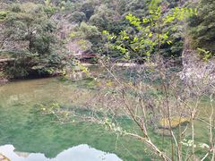 -龙湾潭国家森林公园