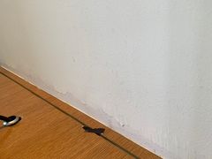 -三亚海棠湾万丽度假酒店