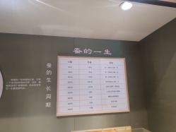-太湖雪蚕桑文化园
