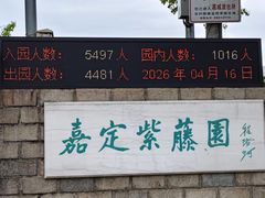 -嘉定紫藤园
